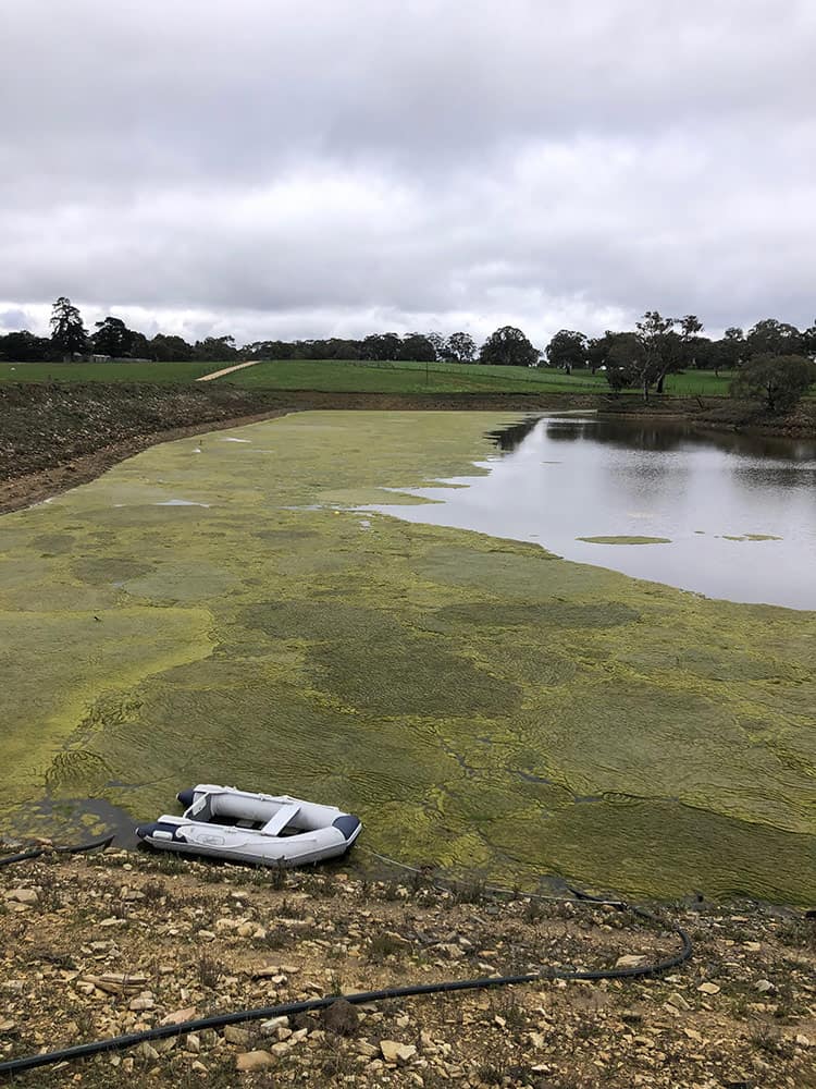 A dam before Dam Floccing in Nairne, Adelaide.