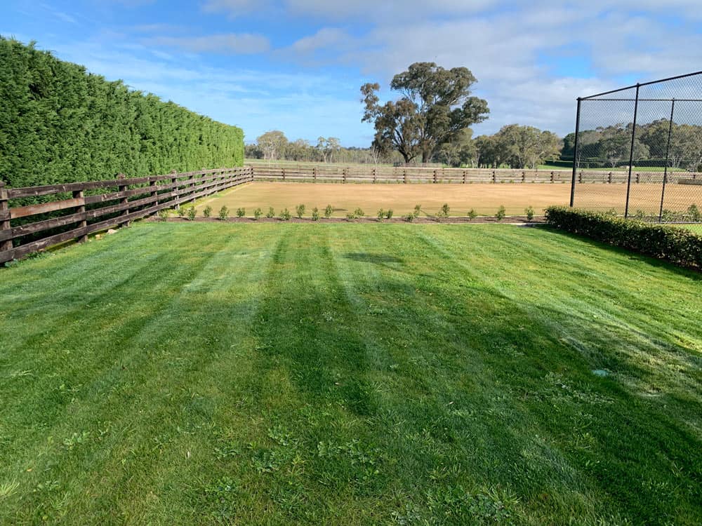 After shot: Residential | Hydroseeding Australia