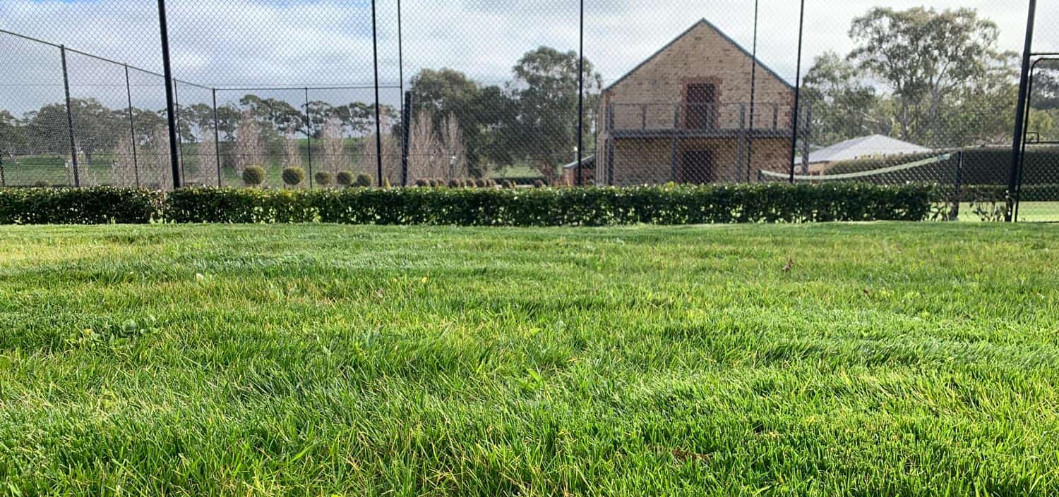 After shot: Residential | Hydroseeding Australia