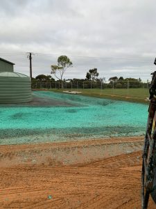 After shot: Commerical Revegetation | Hydroseeding Australia