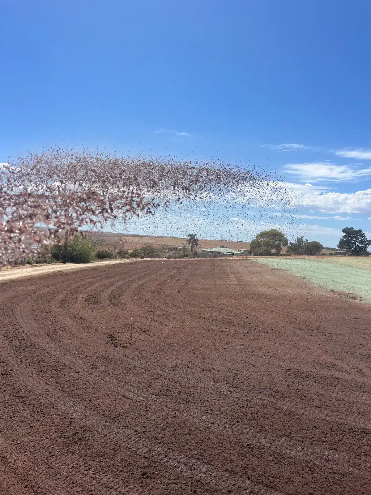graded-soil-amelioration-area